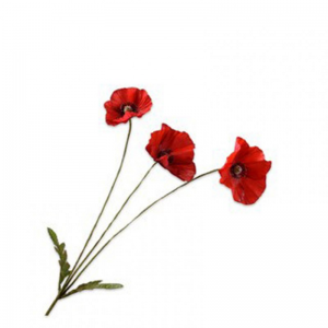 PAPAVERO H81cm SI - red
