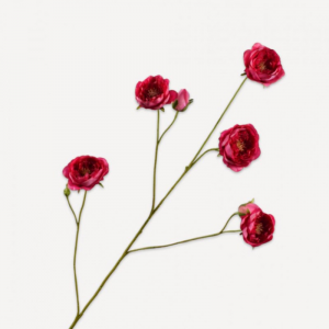 ROSA SPRAY H103cm SI - beauty