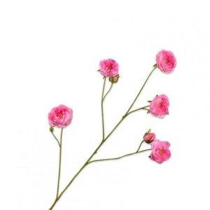 ROSA SPRAY H103cm SI - pink