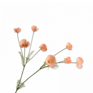 COSMOS SPRAY H104cm SI - peach
