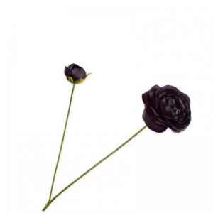 RANUNCOLO ramo H63cm SI - burgundy