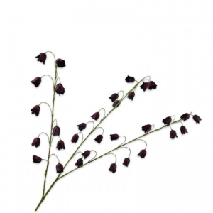 FRITILLARIA H97 cm SI - burgundy