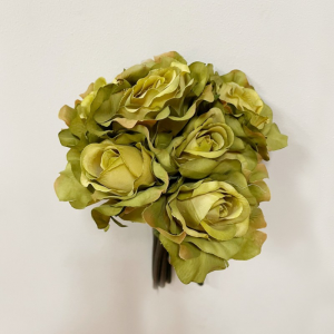 ROSA MAZZO X7 RO -green *