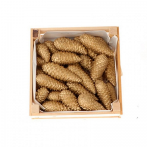 PIGNA MARITIMA CLOSED 3kg - gold NETTO