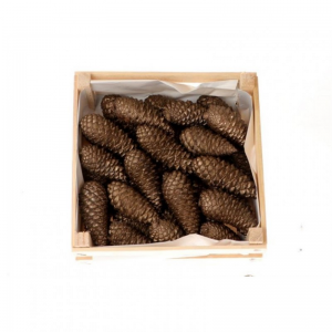 PIGNA MARITIMA CLOSED 3kg - old gold NET