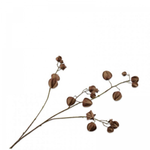 RAMO PHYSALIS H92cm SI - brown/red