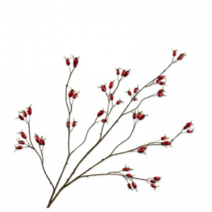 BACCA ROSA RAMO H126cm SI - red