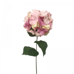 ORTENSIA H72 CM OR -pink green *