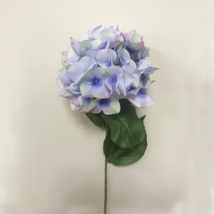 ORTENSIA H72 CM OR -light blue *
