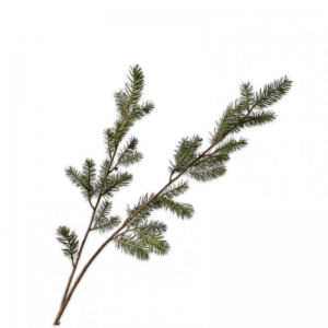 PINO SPRAY H110 SI - grey green