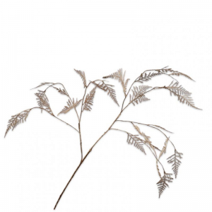 FELCE H113 cm SI -  gold