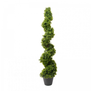 PIANTA BOSSO SPIR.125cmC/VASO PN *