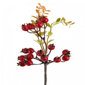 BACCHE RAMO H30cm -red *