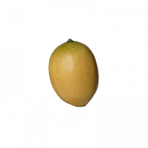 LIMONE D9 cm FRUTTO - yellow