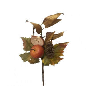 RAMO MELE/PIGNA H38cm AU -autumn *