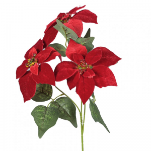 STELLA NATALE X3 - red