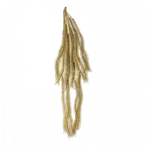 PINO CADENTE 85cm PI - gold