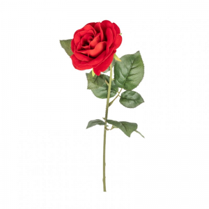 ROSA ramo velluto H62 - red