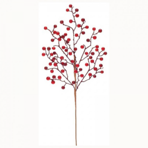 BACCHE RAMO H60CM