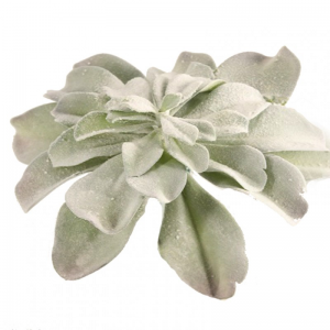 PIANTA GRASSA 35,5 CM FLOCKED FN