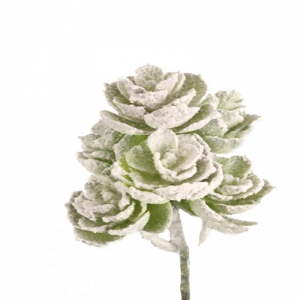 PIANTA GRASSA X7 H21,5 CM FLOCKED FN