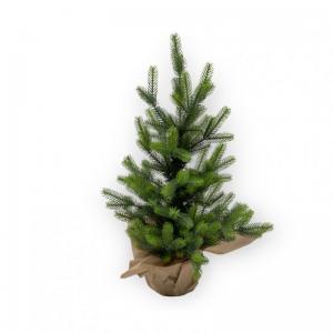 ALBERO NATALE c/vaso H60 - green