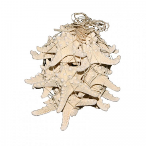 STELLE MARINE 12/15cm 550gr