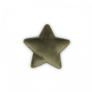 STELLA VELLUTO 5,5cm CONF.50PZ - verde