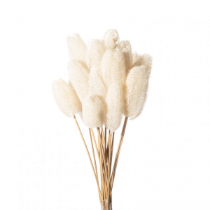 JHAMMA H10/20cm C/STECCO H60CM10pz -bian