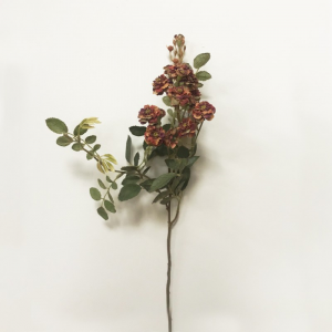 ROSA PONPON H78cm RO -rust red *