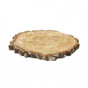 SEZIONE TRONCO BETULLA D43/47 cm