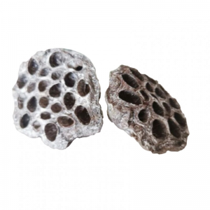 LOTO MEDIO 6/8 CM SACCHETTO 30 PZ -white
