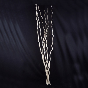 MITSUMATA H120cm 15pz - bianco