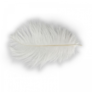 PIUME 20/25cm 14pz - bianco