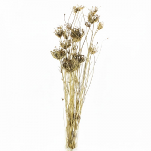 OMBRELLIFERA ESSICCATA H75 CM-oro