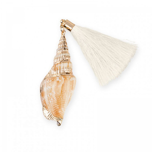 CONCHIGLIA C/NAPPA AVORIO PZ12 h5cm