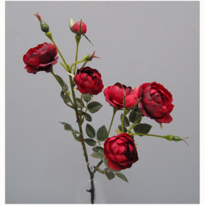 ROSA X5 H56 CM RO - rosso *
