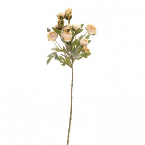 RANUNCOLO SPRAY H55cm - RA3.95 * beige