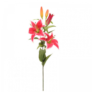 LILLY SPRAY X5 87cm LI -fucsia *
