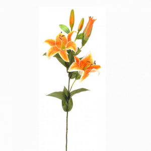 LILLY SPRAY X5 87cm - LI5.85 * orange