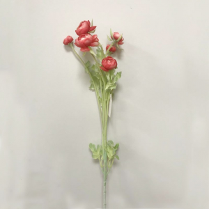 RANUNCOLO X6 H60cm RA -coral *