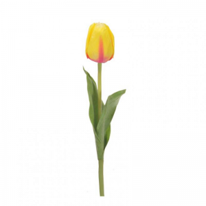 TULIPANO H48cm TU -yellow red *