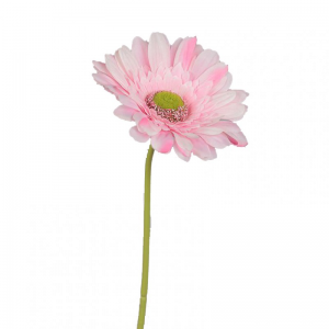 GERBERA H60cm GE -pink *