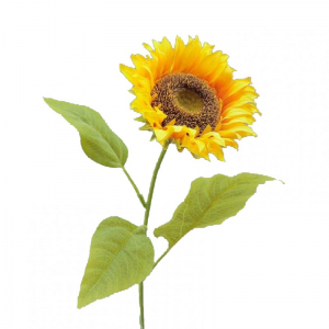 GIRASOLE RAMO H75cm GI - yellow *