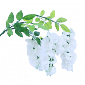 GLICINE CADENTE H98 cm GL -cream *