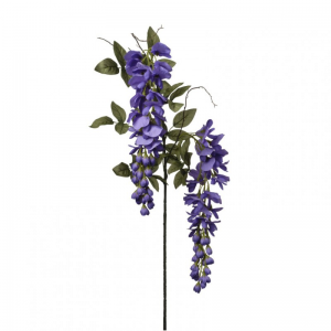 GLICINE RAMO H75 GL - violet *