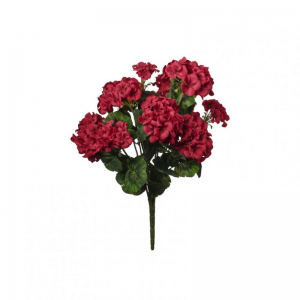 GERANIO mazzo H56 GE - red *