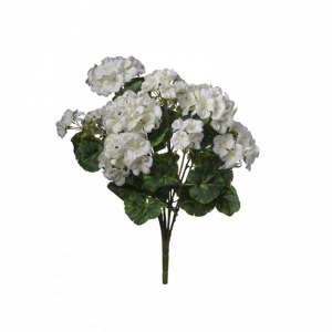GERANIO mazzo H56 GE - white *