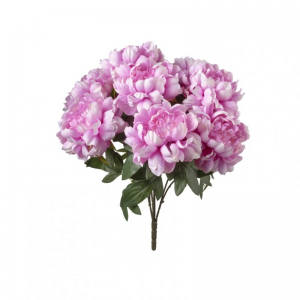 PEONIA mazzo H50 PE - lavender*