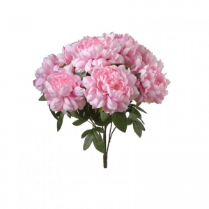 PEONIA mazzo H50 PE - pink*